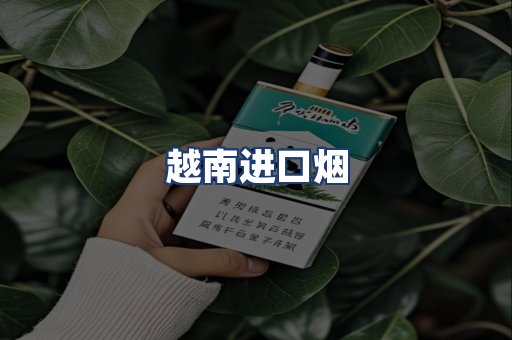 越南进口烟